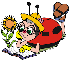 LadybugReading LadybugReading